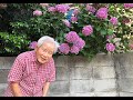 映画『ぼけますから、よろしくお願いします。～おかえり　お母さん～』予告編