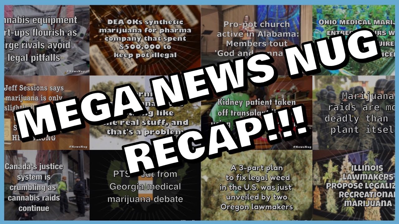 MEGA news nug recap! pot news from around the world Coral Reefer YouTube
