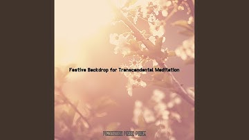 Fun Koto and Strings - Vibe for Yoga Flow