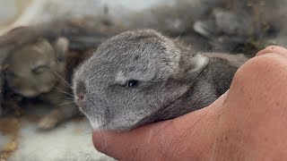 BUNALIMDAN ÇIKTIM VE BİR VİDEO ÇEKTİM