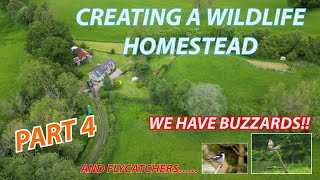 BUILDING A WILDLIFE HOMESTEAD. PART 4 . THE BUZZARDS HAVE ARRIVED!!