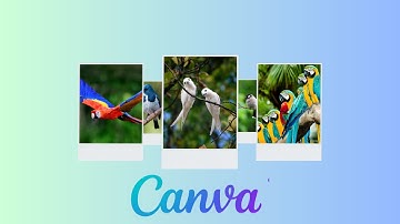 How to Create a Stunning Rotating Drop Photo Carousel in Canva