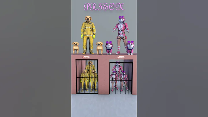 Video 9879461: cat dog beautiful, cat vs dog, funny cats dogs