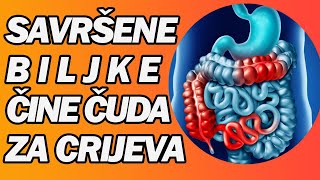 KAKO OČISTITI CRIJEVA I OBNOVITI JETRU I BUBREGE? DR Mihajlović