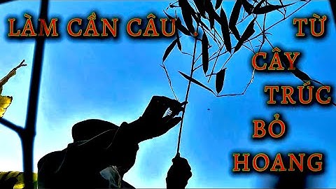 Làm Cần Câu Siêu Đẹp Từ Cây Trúc Bỏ Hoang.
