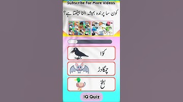 Quiz MCQs Questions Answers For Increasing Knowledge Brain Test 🧠
