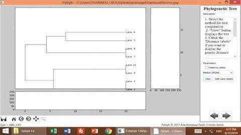 PyElph | Analyse RAPD SSR RFLP AFLP gel images using computer software |Easy & Simple Method