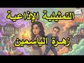 التمثيلية الاذاعية زهرة الياسمين 