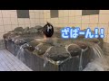 【温泉女子】【熊本】ふろや湯湧♨️女ひとり旅❤️うなぎ❤️塚原古墳公園✨hotsprings✨japanese onsen