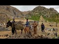 Nomadic documentary: 🪵⛰️Gathering firewood in the Zagros Mountains for nomadic cooking 🍲