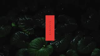 TOM FINSTER - LAST YEAR I DIED