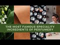 The most famous compositions and speciality ingredients of perfumery