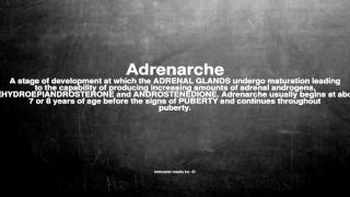 Medical Vocabulary What Does Adrenarche Mean