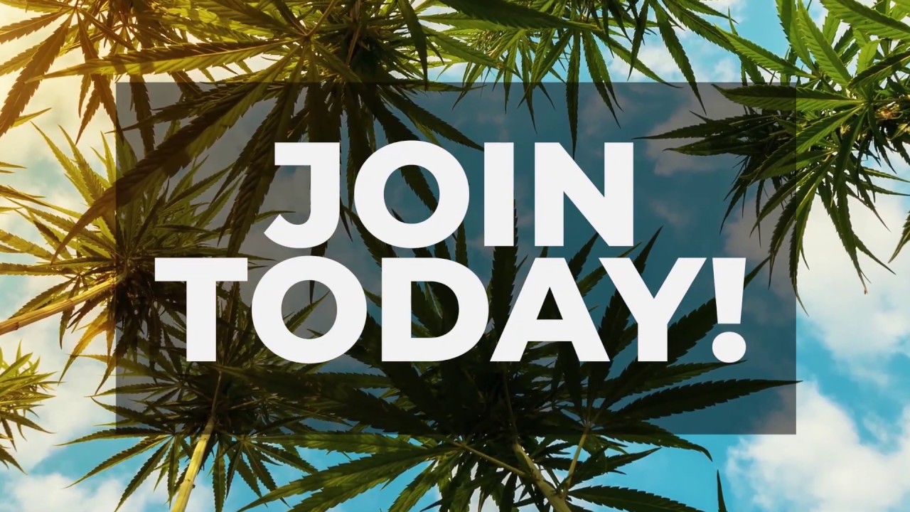 420 Real Estate Network | Higher Yields Cannabis Consulting