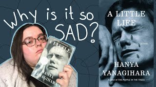 Why is A Little Life So Sad?