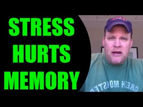 Ron White Memory Guy | Memory Training Tip | Stress and Memory how to remember vocabulary