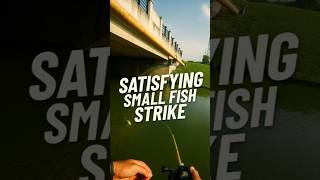 "Trying Casting Techniques Under a Bridge... Unexpected Strike!" #FishingShorts #CastingTechnique