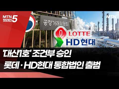 석화 구조조정 '대산1호' 조건부 승인…롯데·HD현대 통합법인 출범 / 머니투데이방송 (뉴스)