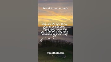 Chúng Ta Làm Gì Để Ngừng Biến Đổi Khí Hậu? #racthainhua #onhiemnhua