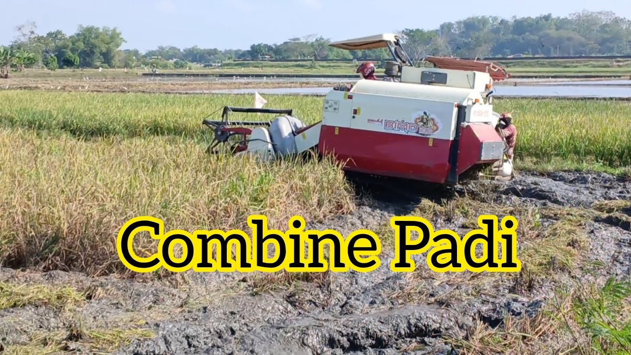Combine Padi #sukoharjo #sawah