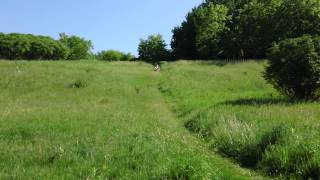 Hill Fail - PART 1