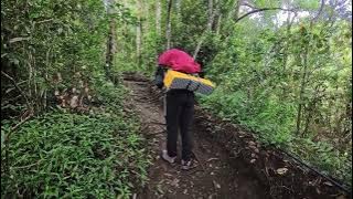 KENTUT KERAS SEPERTI TEROMPET