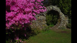 Moon Gate