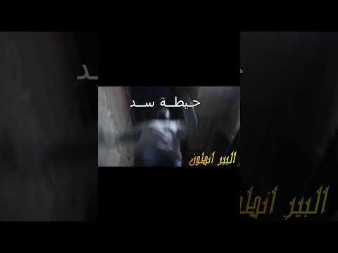 2022 الفيلم القصير حيطة سد