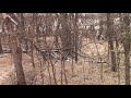 Kansas Bowhunting November 12, 2018