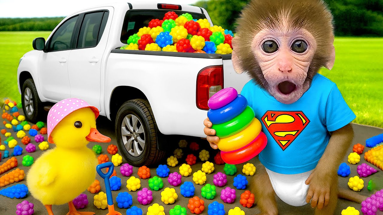 Affe BonBon fährt Superauto einkaufen und findet eine riesige Tüte Regenbogenbonbons - HT Tierwelt