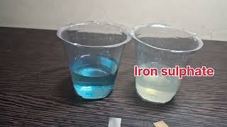 Displacement Reaction Experiment | Iron + Copper Sulphate | Class 10 Science | NCERT | Science Magic