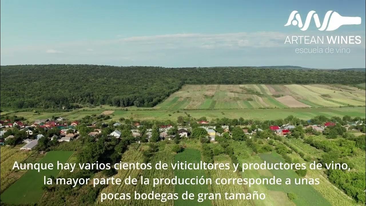 Introducción a los vinos de Rumanía - YouTube