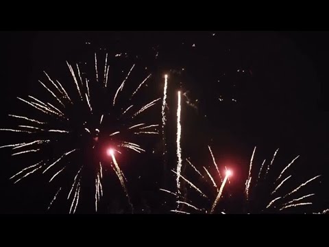 New laws set to take effect in Florida in 2024 - YouTube