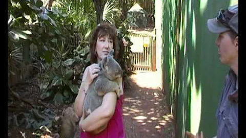 Vicki w koala yepoon.MP4