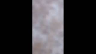 Bodrumdaki̇ Kedi̇ Bölüm 1Emirloofficialskibidirizzyt