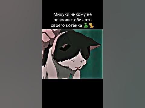 Мицуки никому не позволит обижать своего котёнка 🐍🐈 - YouTube