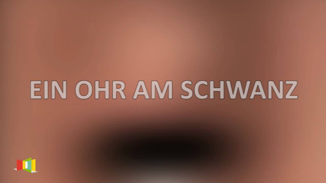 Musik: Ein Ohr am Schwanz - clean