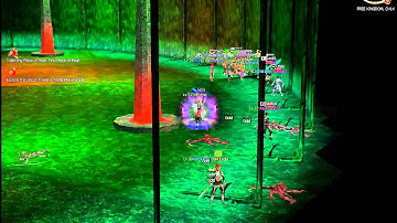 Metin2 US - DT with GM