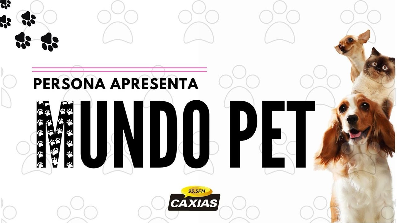 RISCOS DA ZOONOSES | MUNDO PET 29/07/2025
