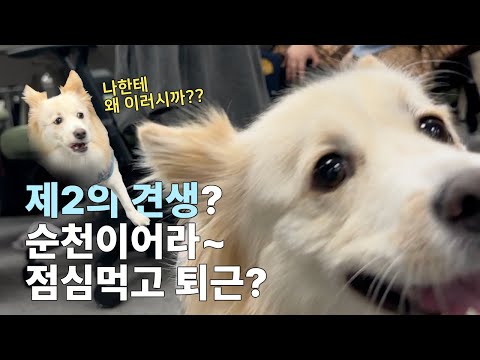 순천아~ 벌써 집에 가?