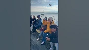 Thumbnail of Wait for it ♥️