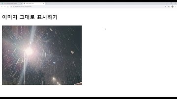 Webjjang Web ver.2021.01 03-04 HTML 기초 - img 태그(웹짱과 함께하는 웹표준-화면구현)