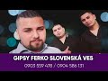 Gipsy ferko slovensk ves  telefonos  cover