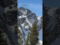 A Look around Albion Basin #alta #wasatch