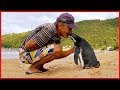 Er wollte dem Pinguin nur einen Kuss geben...