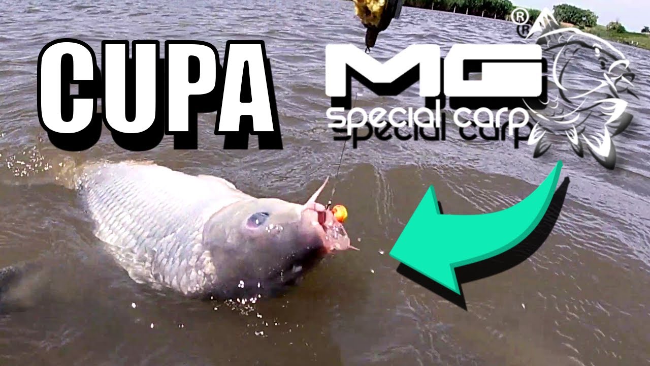 Strategie Concurs Cupa MG CARP pe Balta Marcelino