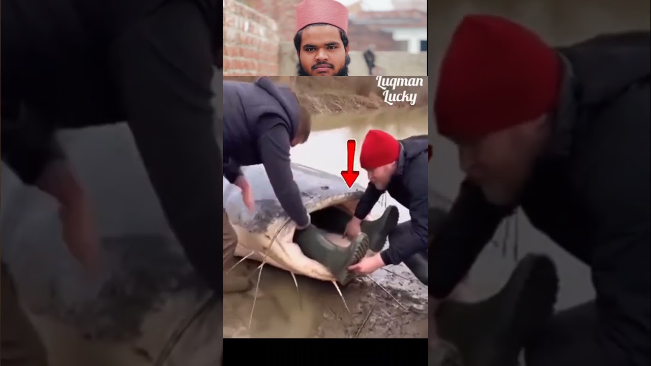 kya Shaan Hai Allah ki 🥰 