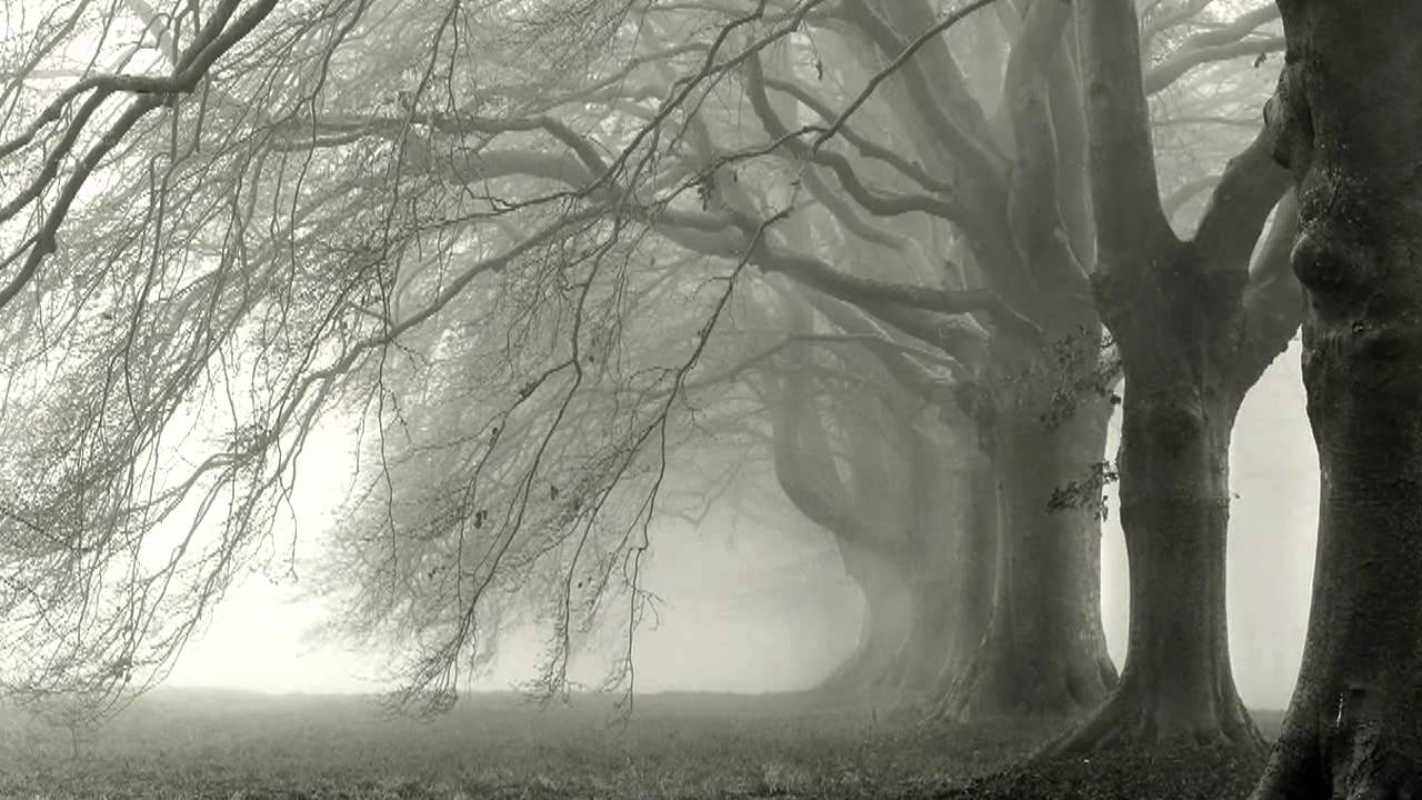 Take me away - Koen Dejonghe (Guitar Quartet)