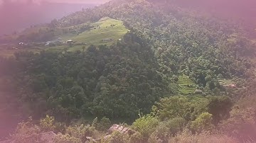 cao bồ vị xuyên