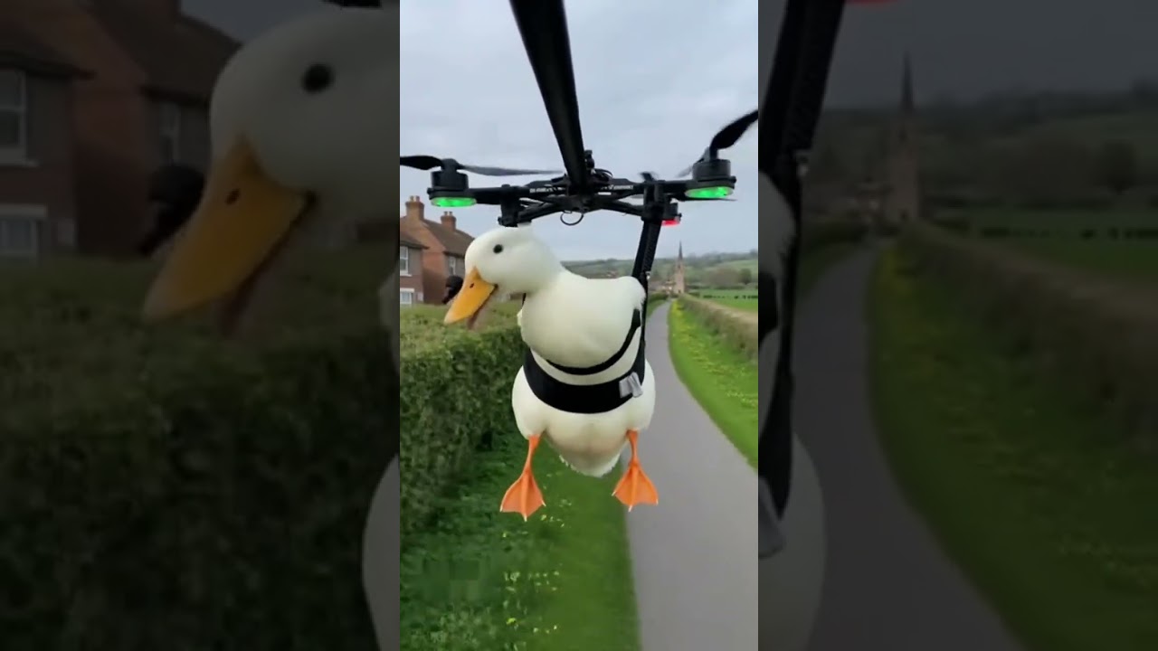 “You’ve Never Seen a Duck Rap Like THIS — In the Air!”